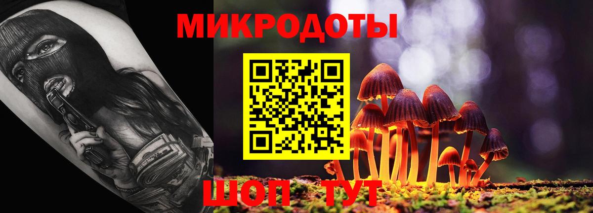 Псилоцибиновые грибы Кирово-Чепецк