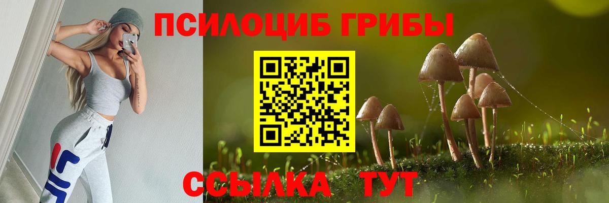 Галлюциногенные грибы MAGIC MUSHROOMS  цены наркотик  Кирово-Чепецк  Вход с VPN  Галлюциногенные грибы Psilocybe 